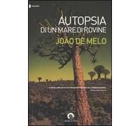 Autopsia di un mare di rovine