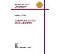 Autoriciclaggio: teoria e prassi