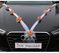 Autoschmuck Organza M Auto Gioielli Sposa Coppia Rose Decorazione Organza M Matrimonio Car Wedding Decorazione Ghirlanda Auto (Corallo/Bianco)
