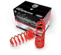 AutoStyle Molle di abbassamento compatibili con BMW Serie 5 G31 540i/525d/530d Touring (2WD) (sospensione. aria posteriore) - Incl. Lowering Links 3/2017-02/2024 45/0-45 mm