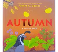 AUTUMN a pop-up book - libro pop-up in inglese per bambini