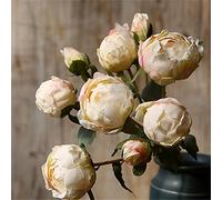 Autumn Fall Decoration Sunburned Looking Peony Bouquet Artificial Silk Flowers Living Room Decoration (Color : D Size (C As the picture shows)