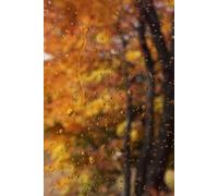AUTUMN NOTEBOOK: Cozy Journal for Fall Days and Creative Thoughts: Write, reflect, and dream under the falling leaves