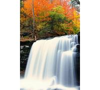 Autumn Reflections Fall Leaves and Waterfall Seasonal Gratitude Journal: Cozy Nature-inspired Fall Foliage Diary Notebook