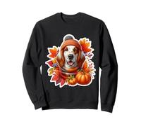 Autunno Autunno Inglese Setter Cane Proprietario Amante Zucca Vintage Felpa