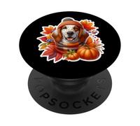 Autunno Autunno Inglese Setter Cane Proprietario Amante Zucca Vintage PopSockets PopGrip Adesivo