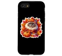 Autunno Autunno Ragdoll Cat Proprietario Ringraziamento Mamma Papà Zucca Custodia per iPhone SE (2020) / 7/8