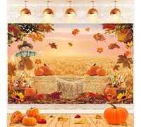 Autunno Zucca Sfondo Autunno Raccolta Acero Fieno Fotografia Sfondo Girasoli Appena Nato Baby Shower Banner Decorazioni Del Partito Foto S