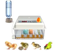 Auveach 16 Uova Incubatrice per Uova Automatica con Sistema Automatica di Giratura delle Uova/Controllo della Temperatura Design Elettrico Doppio per Anatre Pollame