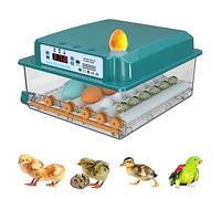 Auveach Incubatrice per Uova Automatica Incubatrice per 16 Uova Gallina Controllo Automatico della Temperatura Giratura Automatica delle Uova Design Elettrico Doppio