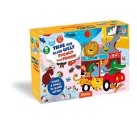 AUZOU 405021 Animali da Tutto Il Mondo e Trova la logica dei Giochi di Famiglia e osservazione