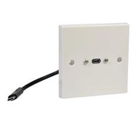 AV:Link | Piastra da parete USB di tipo C a ricarica rapida con coda maschio, trasferimento dati 40 Gbps, compatibile con PD e QC, coda posteriore da 190 mm, misura standard UK