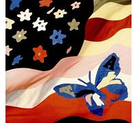 Avalanches The - Wildflower