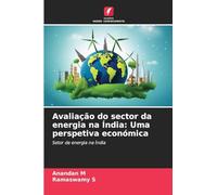 Avaliação do sector da energia na Índia: Uma perspetiva económica: Setor da energia na Índia