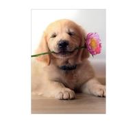 Avanti Press Goldener Welpe mit rosa Blume im Maul, s e Muttertagskarte mit Hund