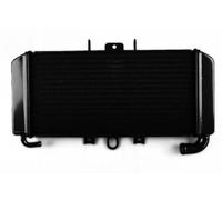 avdb-moto Radiatore Acqua Compatibile con YAMAHA FAZER 600 FZS RJ02 1998-2001, FAZER 600 FZS RJ025 2002-2003, FAZER 600 FZS RJ025 2002-2003, FAZER 600 FZS RJ02 1998-2001 Tipo Originale in Alluminio