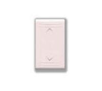 AVE 45B52 - COMMUTATORE con FRECCE 2P 10A 250V BANQUISE