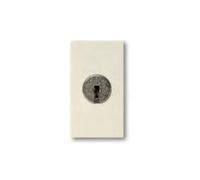 Ave pulsante na 16a con chiave 45971 serie blanc
