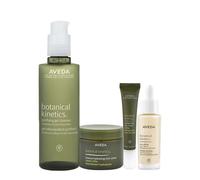 Aveda Botanical Kinetics Kit