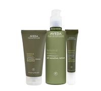 Aveda Botanical Kinetics Kit