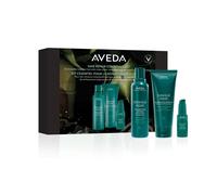 AVEDA - Botanical Repair Botanical Repair Set - Cofanetto per capelli