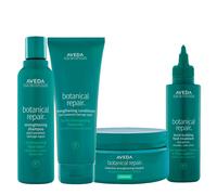 Aveda Botanical Repair Kit