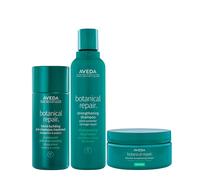 Aveda Botanical Repair Kit