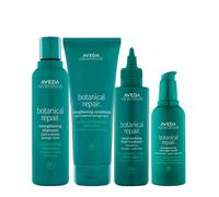 Aveda Botanical Repair Kit