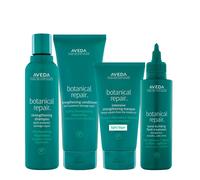 Aveda Botanical Repair Kit
