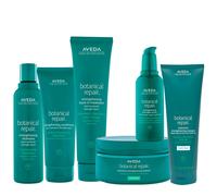 Aveda Botanical Repair Sistema Ristrutturante