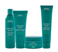 Aveda Botanical Repair Strengthening Kit