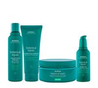 Aveda Botanical Repair Strengthening Kit