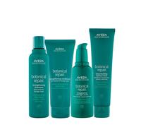 Aveda Botanical Repair Strengthening Kit
