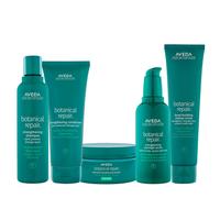 Aveda Botanical Repair Strengthening Kit