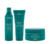 Aveda Botanical Repair Strengthening Rich Kit