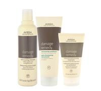 Aveda Damage Remedy Kit