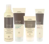 Aveda Damage Remedy Kit