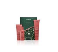 AVEDA - Nutriplenish Nutriplenish Hydrating Essentials: Deep Moisture - Cofanetto per capelli