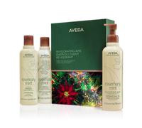 Aveda Holiday Invigorating Awe Rosemary Mint Hair & Body Essentials set regalo di Natale per capelli