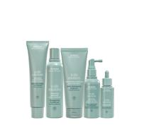 Aveda Scalp Solutions Set