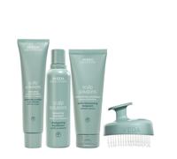 Aveda Scalp Solutions Set