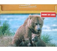 Avenues B: Large Format Photo File Picture Cards