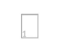 Avery - Carta fotografica, lucida - lucida - 209 x 295 mm - 40 fogli (L7767-40)