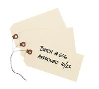 Avery Etichette per spedizioni con filo, 11,5 pt. Stock, 6-1/4" x 3-1/8", 1.000 etichette Manila da appendere (12608)