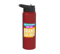 Avevo il comando e poi avevo i nipoti e i nonni Stainless Steel Insulated Water Bottle