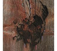 Avey Tare's Slasher Flick - Enter the Slasher House