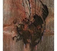 Avey Tare's Slasher Flicks Enter the Slasher House (Vinyl LP) 12" Album