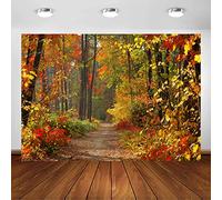Avezano Scenario autunnale Sfondo deciduo Foresta Decidua Sentiero Paesaggio Naturale Giallo Vista Decorazione Festa Banner Ritratto Foto Booth (2,1 x 1,5 m)