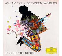 Song Of Birds