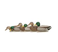 Avian X Topflight - Set di 6 germani reali galleggianti con design robusto e posture realistiche per scopi di caccia, sport all'aria aperta e attività ricreative